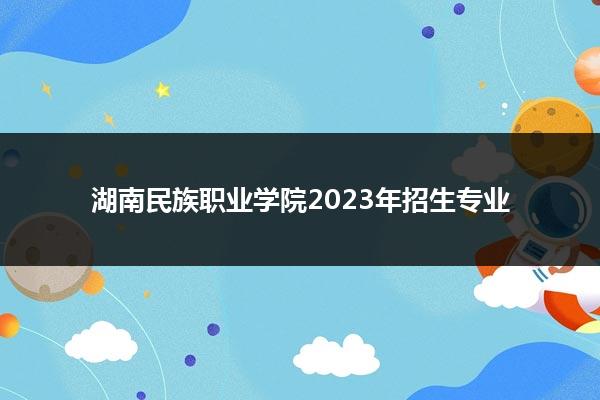 湖南民族职业学院2023年招生专业