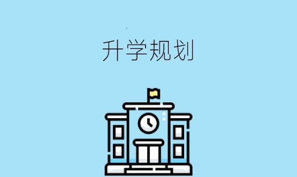 老师建议不中考直接去技校可以吗到底该如何规划升学