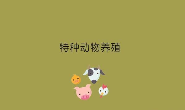 不喜欢动物可以学特种动物养殖吗?就业情况怎么样?