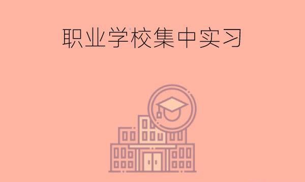 职业学校的集中实习好吗?可以不去吗?