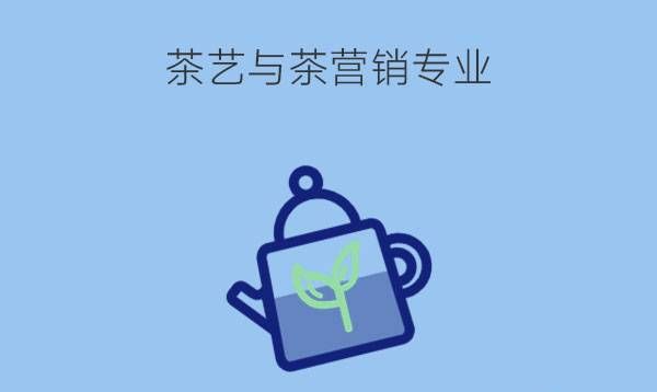 茶艺与茶营销专业的就业方向有哪些?