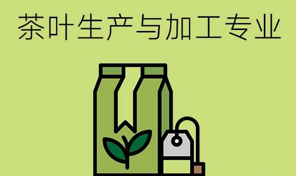 茶叶生产与加工专业