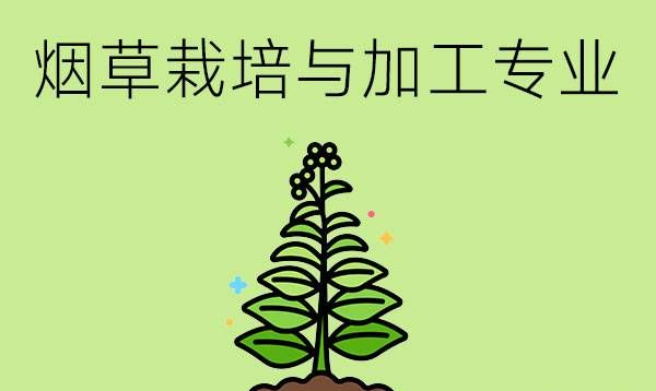 烟草栽培与加工专业