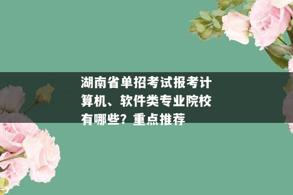 湖南省单招考试报考计算机、软件类专业院校有哪些？重点推荐