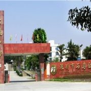 深圳石岩公学学校国际部小学